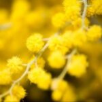 赏金国际平台的成功故事与用户案例 2livzdjokn