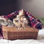 赏金国际娱乐:玩家最爱的游戏类型大揭秘 fh9jct66k