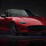 胜天国际:打造跨国企业的成功之道 t3xx0p8v