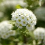 赏金国际娱乐的用户体验:为什么如此受欢迎 u4ia2qj8s