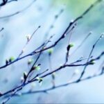 赏金国际的技术支持:如何利用科技提升效率 z6coumio